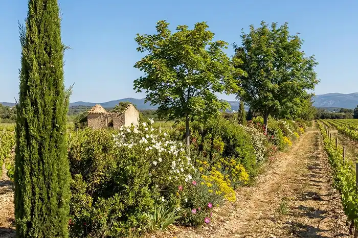 jardin permaculture