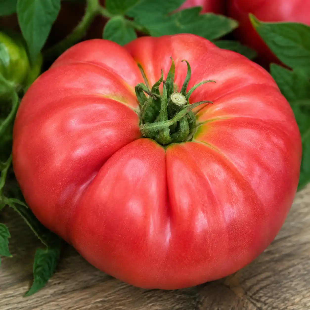 tomate rose de berne