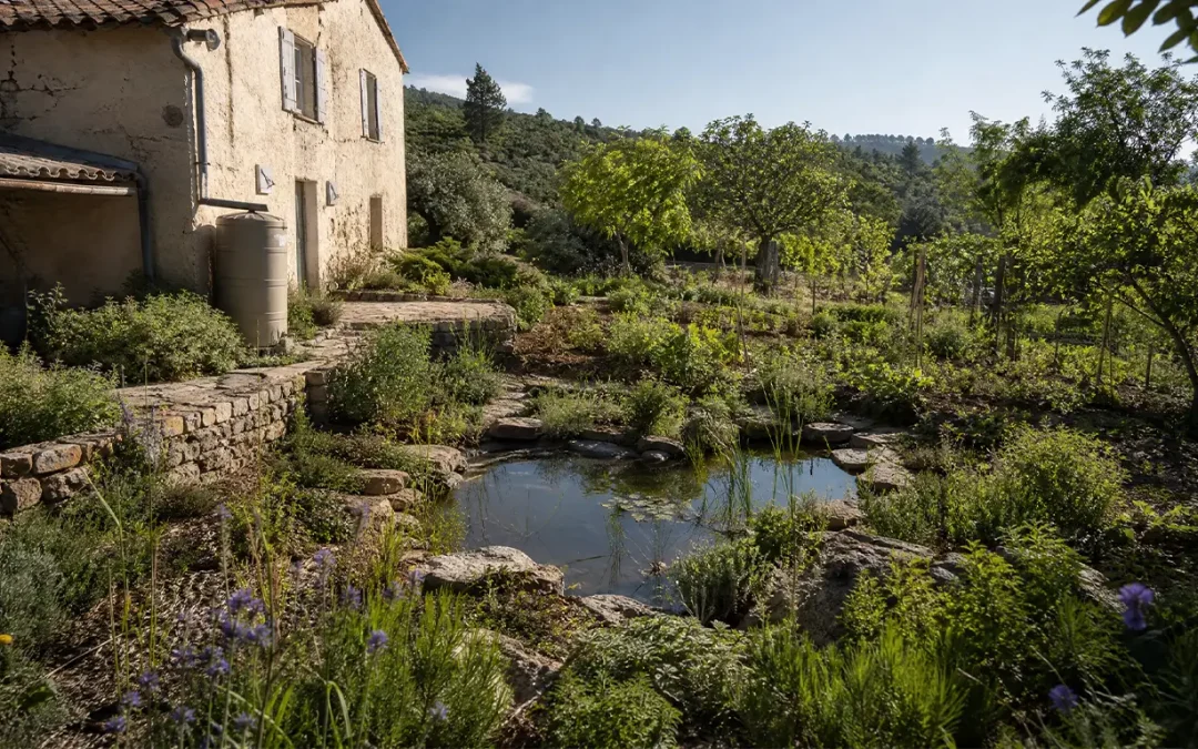Gestion de l’eau en permaculture : mieux récupérer, stocker et utiliser l’eau au jardin