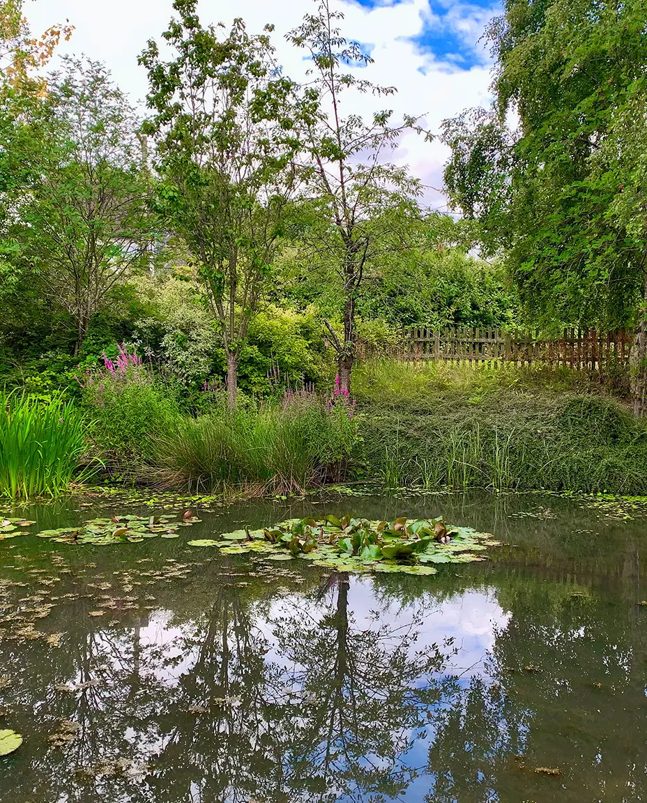 mare au jardin